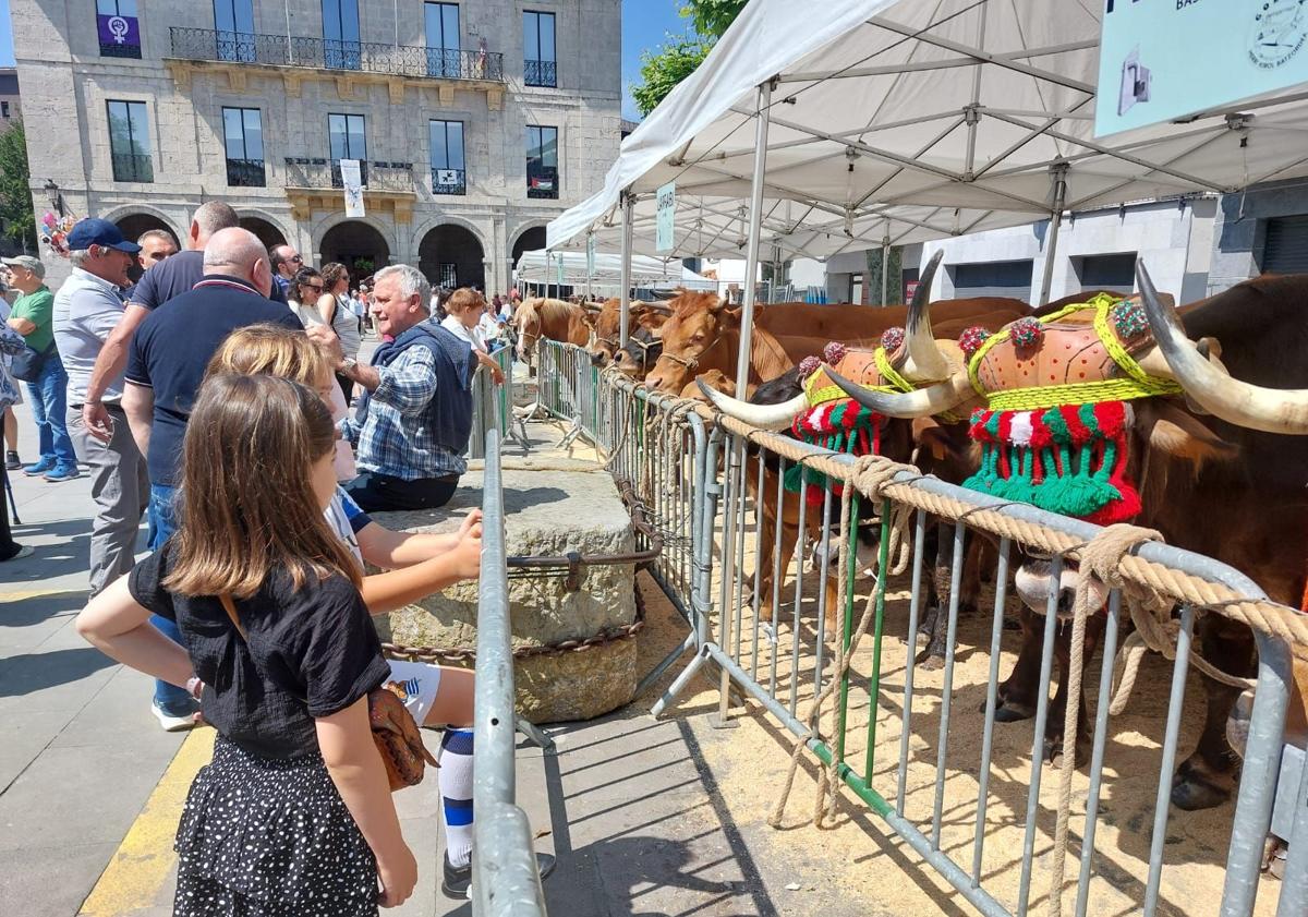 Imagen principal - También hubo animales presentes en la feria.