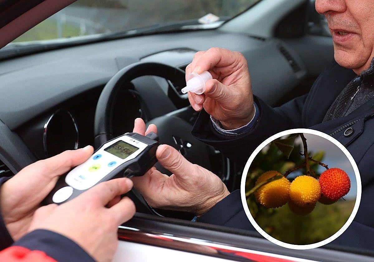 La fruta «que emborracha» y que podría hacer que des positivo en un control de alcoholemia