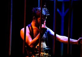 La obra recorre territorios incómodos con una mezcla de crudeza y belleza.