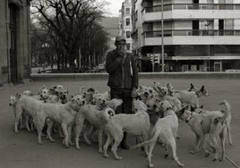 Insólita imagen de perros de caza en la terraza consistorial, con motivo de la feria.