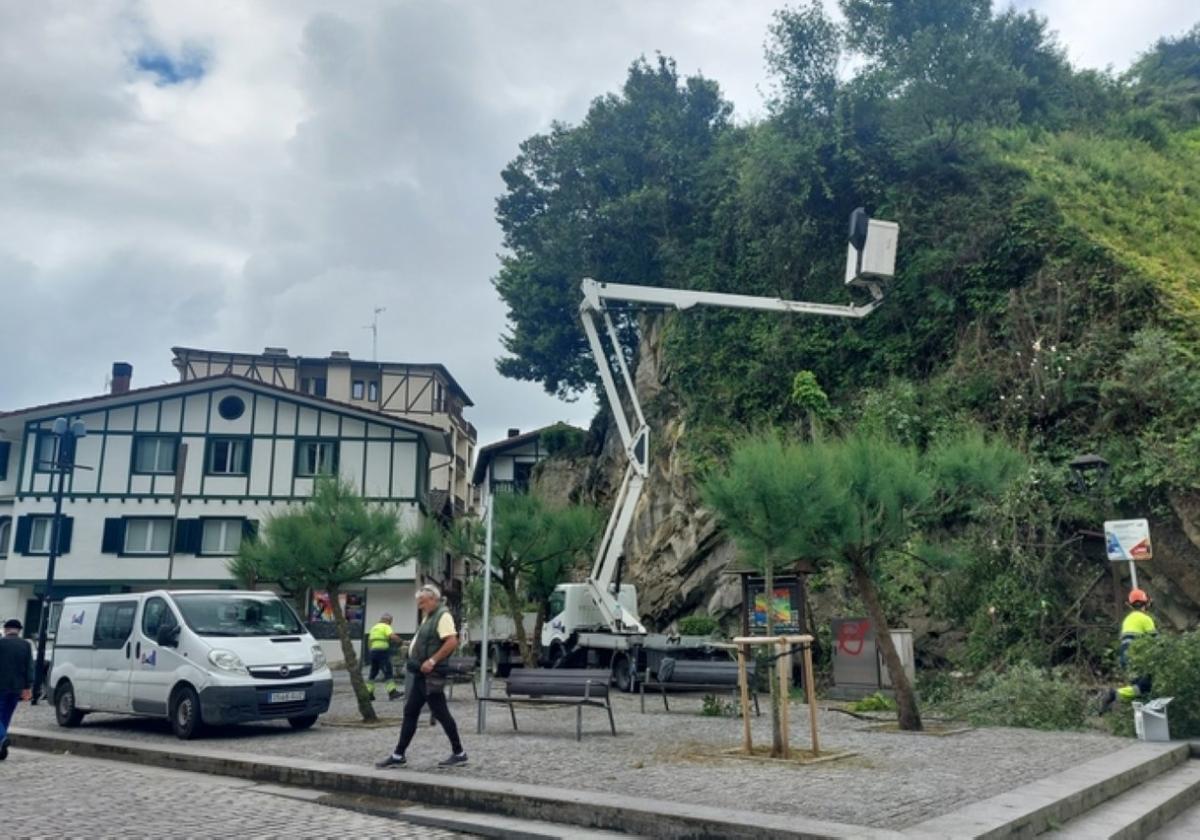 Operarios municipales realizando diferentes labores de mantenimiento esta semana en la Torre.