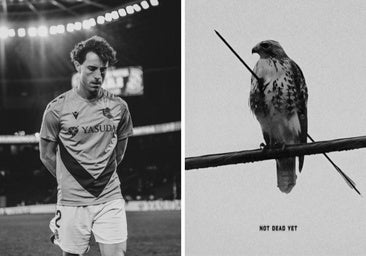 El misterioso mensaje de Álvaro Odriozola, un pájaro herido pero «no muerto todavía»