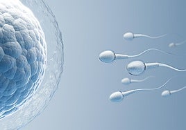 «La inteligencia artificial ya se utiliza para seleccionar óvulos y espermatozoides con mayor precisión»
