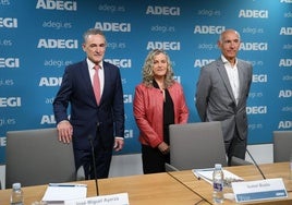 José Miguel Ayerza, director general de Adegi; Isabel Busto, presidenta de la patronal guipuzcoana, y Patxi Sasigain, responsable de competitividad, en la presentación de este miércoles de la encuesta de coyuntura.