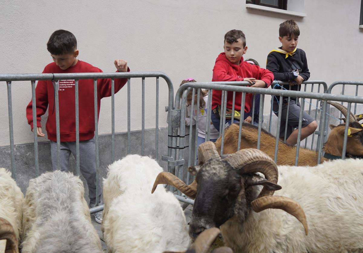 Imagen principal - La feria despertó gran interés entre los asisntentes.