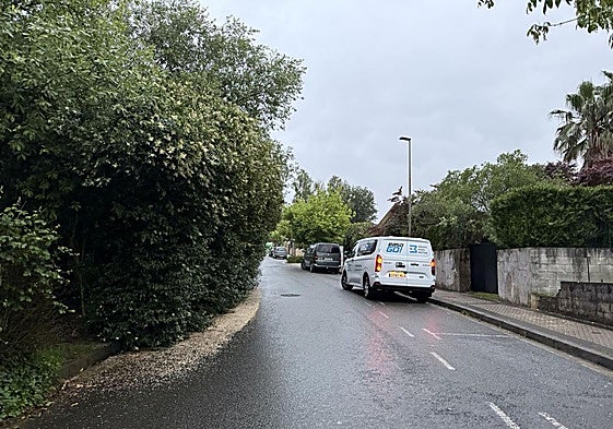 Gabi Sola nos envía esta imagen del Alto de Zorroaga y el siguiente comentario: «Todos los años lo mismo. Los autobuses rozan, los coches pasan justo, más de la mitad del carril de circulación invadido por la vegetación... En vez de dedicar los agentes al radar, igual los podrían utilizar para ver las zonas de la ciudad que tienen problemas. Cuestión de prioridades».