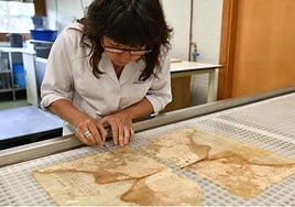 El recorrido guiado ofrece una oportunidad única para adentrarse en distintos espacios.