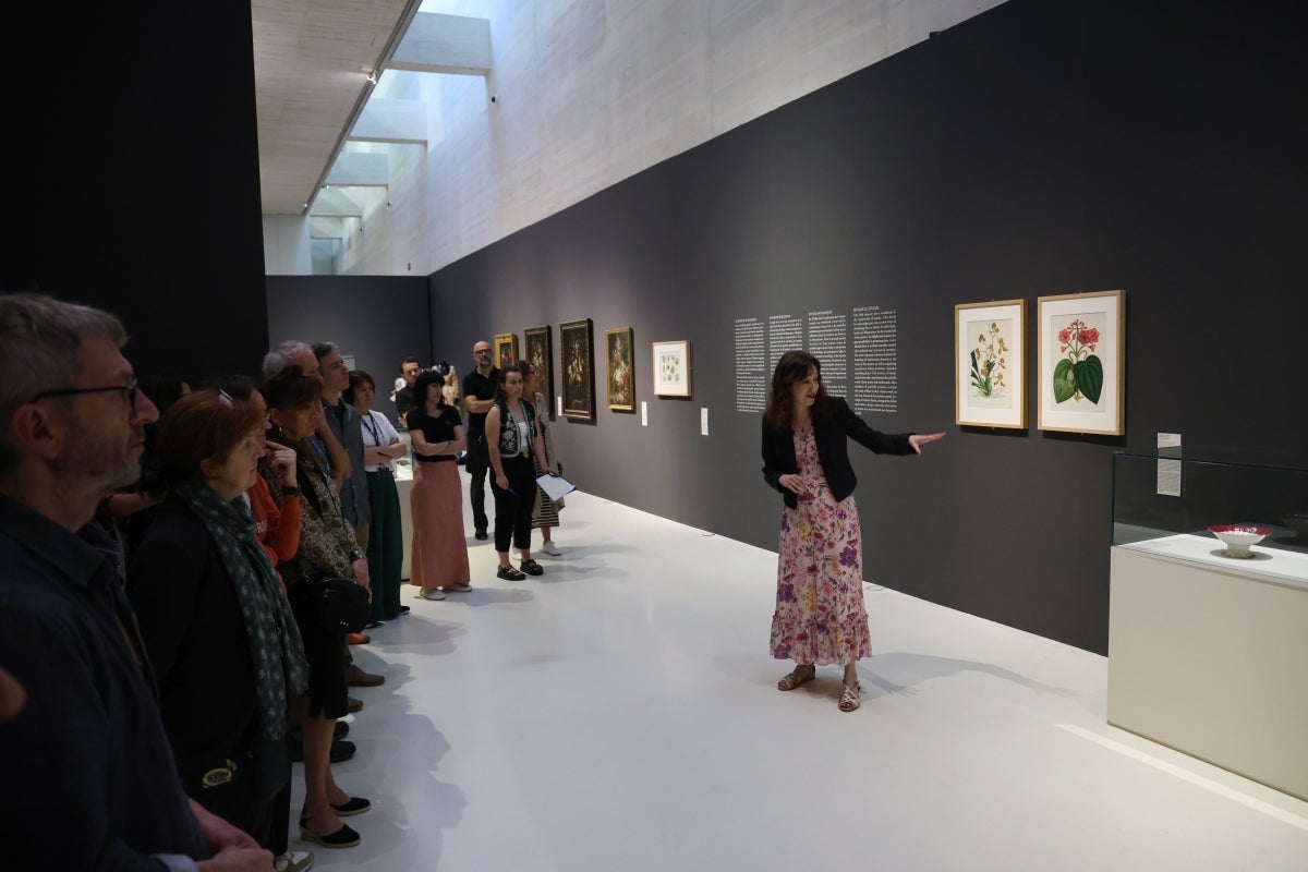 Exposición 'Vistiendo un jardín' en San Telmo