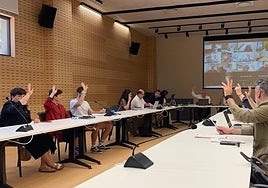 Una de las votaciones de la asamblea celebrada este martes.