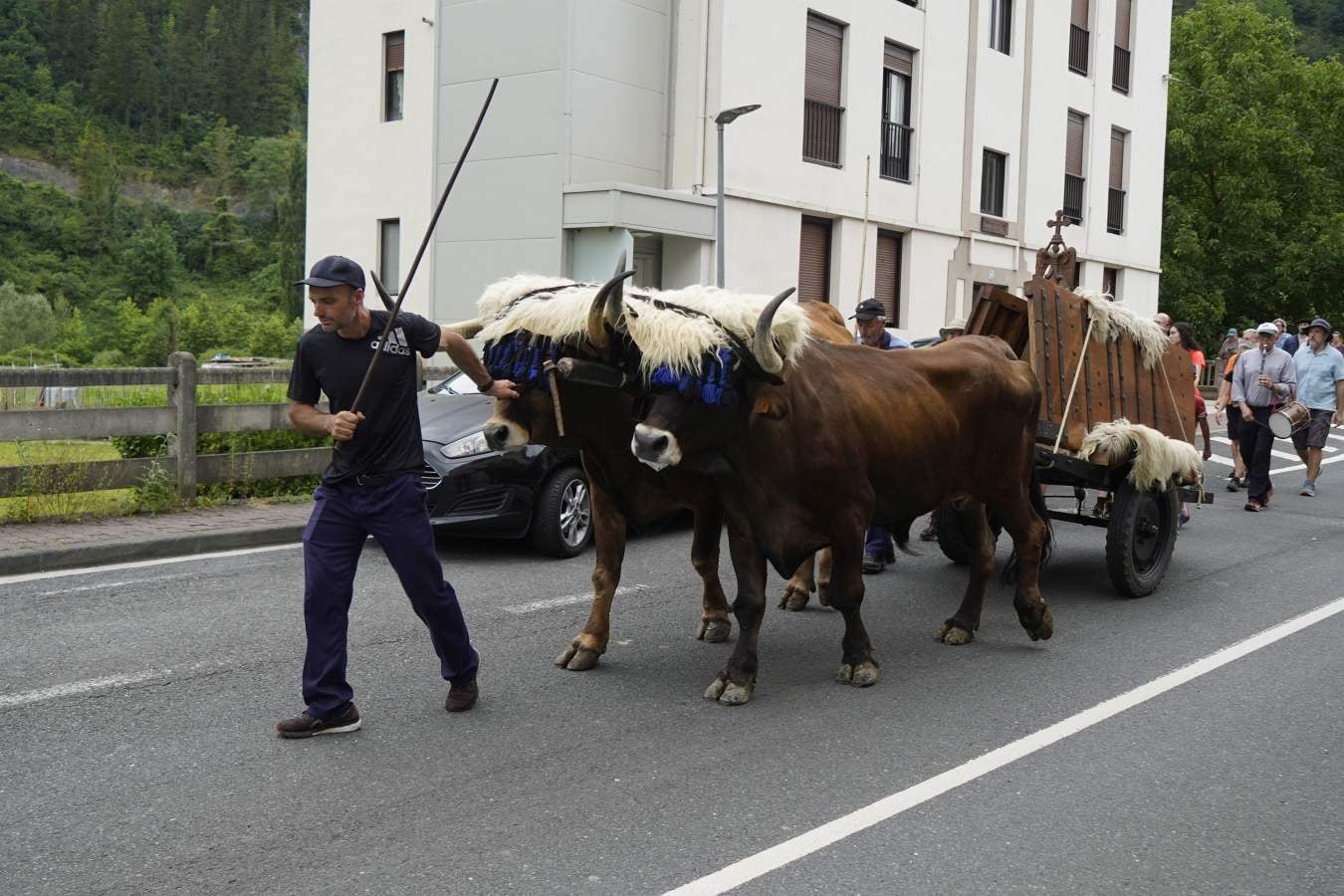 Así ha sido el cambio de bueyes entre Tolosa y Lazkao