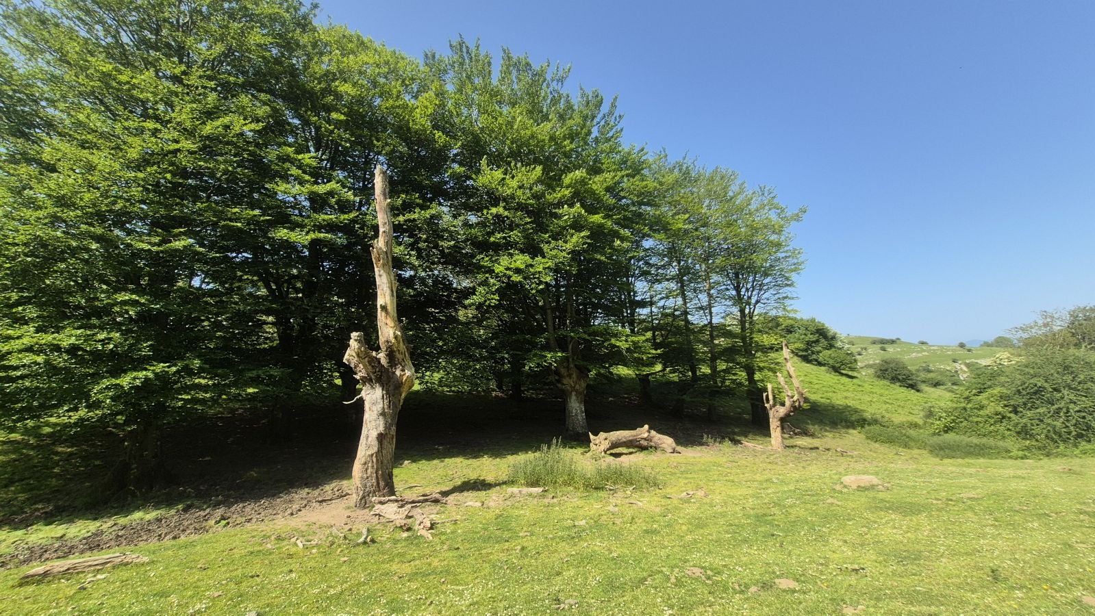 Ausa Gaztelu, el castillo de Aralar