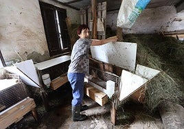«Los conejos estaban dentro cuando se inundó todo, dieciséis han muerto»