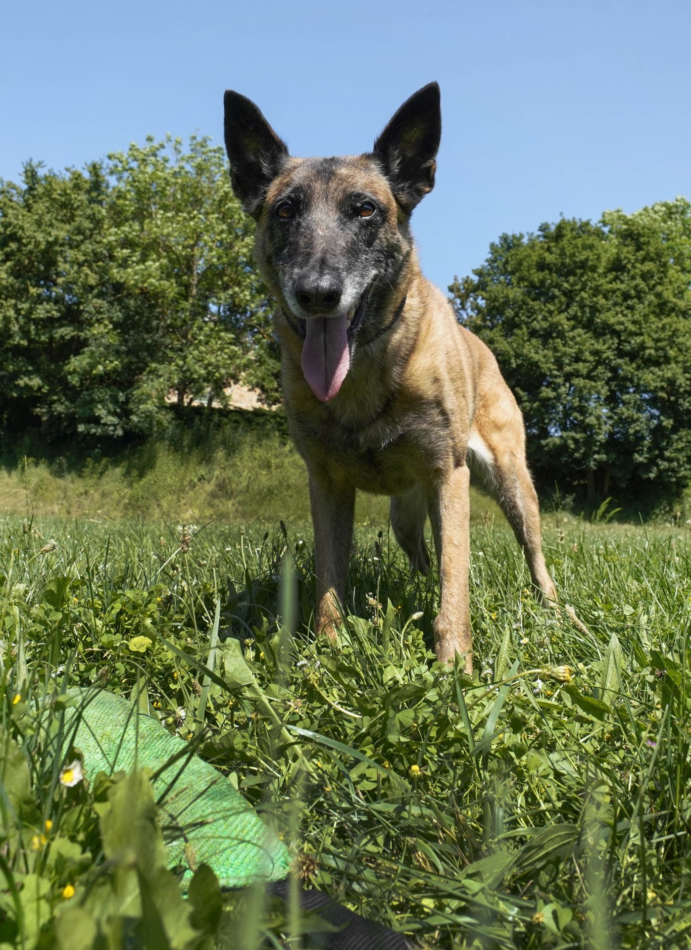 Visita a la unidad canina de la Ertzaintza