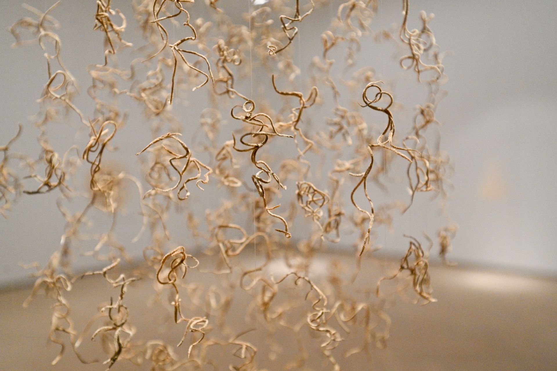 María Cueto presenta la nueva exposición sobre sus etapas como artista