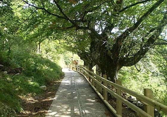 Arantzazuko altxorra bilatzeko orientazio jolasa