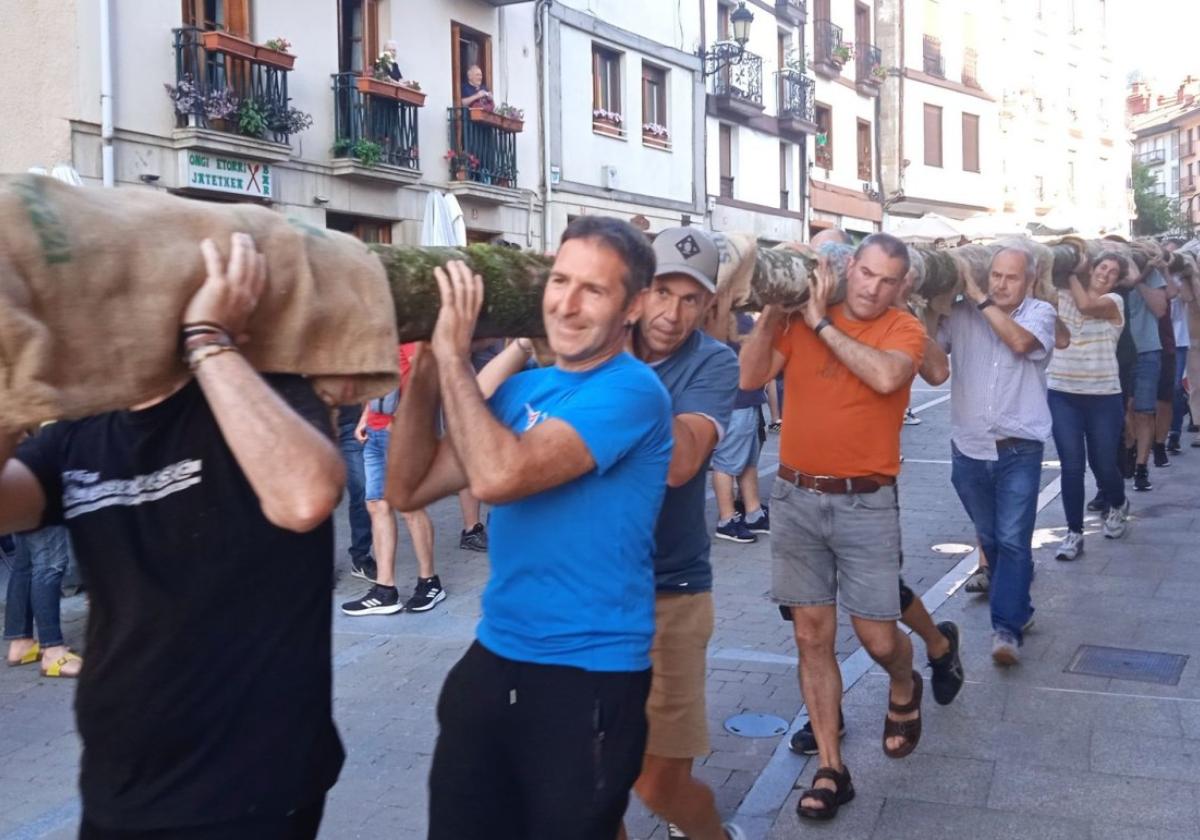Un grupo de concejales, la alcaldesa y voluntarios portando el chopo hasta la Plaza.