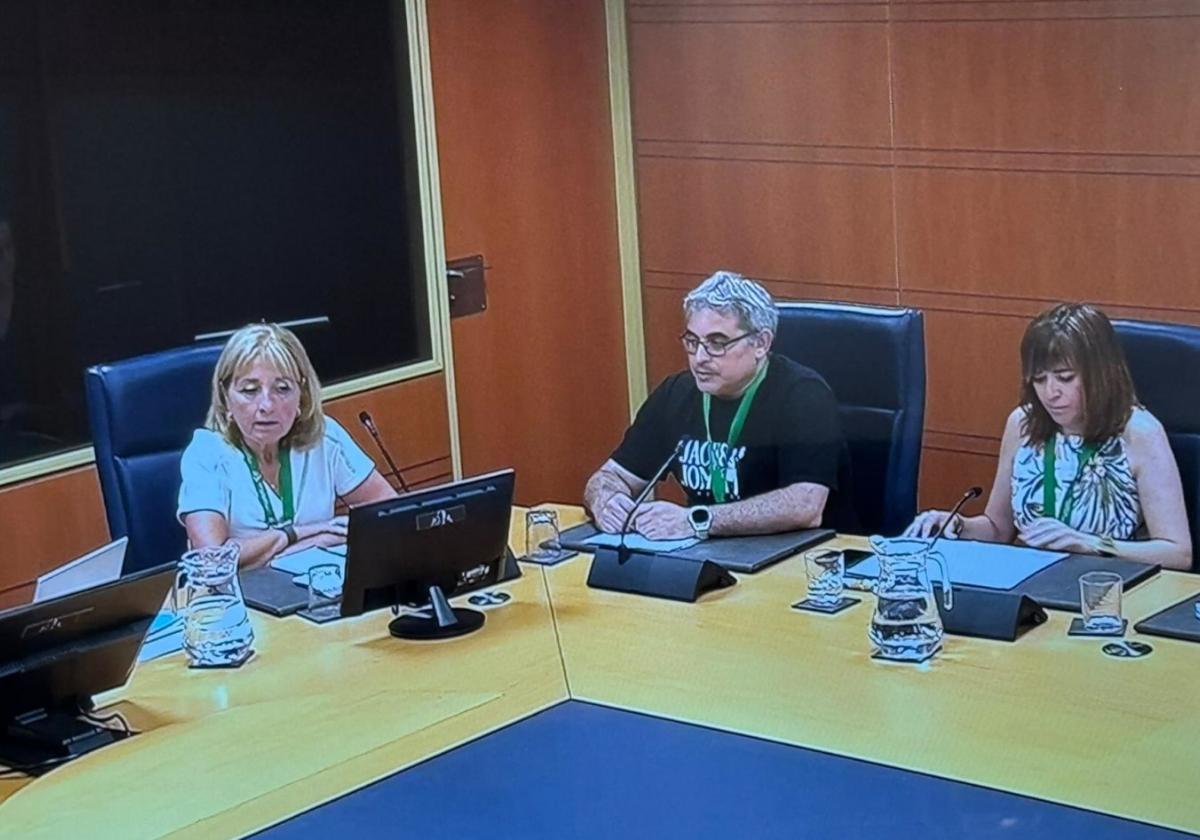Los integrantes de Osasun Bidasoa, durante su intervención en la Comisión de Salud del Parlamento Vasco.