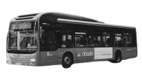 Autobuses