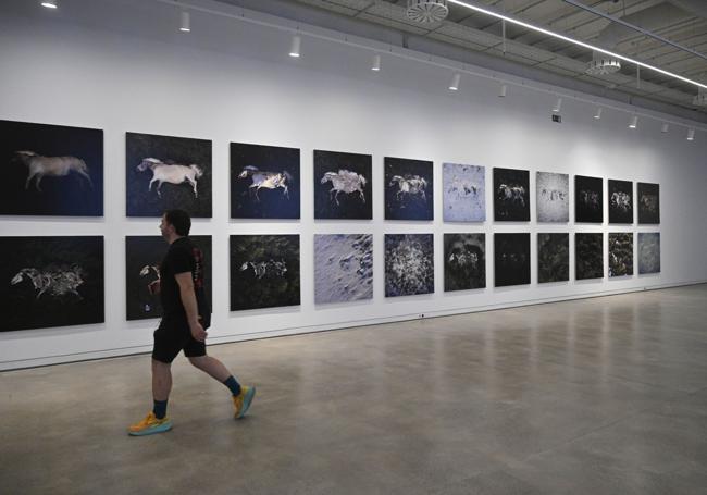 Serie de fotografías con la descomposición del caballo.