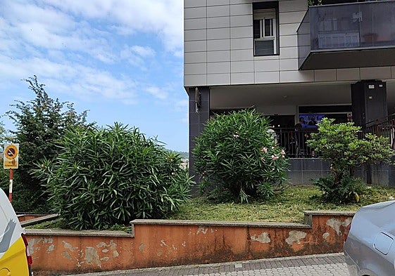 Un lector se quejaba días atrás del estado de mantenimiento de una zona verde de Bertsolari Txirrita, próxima a una terraza hostelera habitualmente muy concurrida. Los servicios de limpieza han actuado esta semana en el jardín y lo han dejado como debía estar siempre. Ahora solo hay que esperar que no ocurra de nuevo.