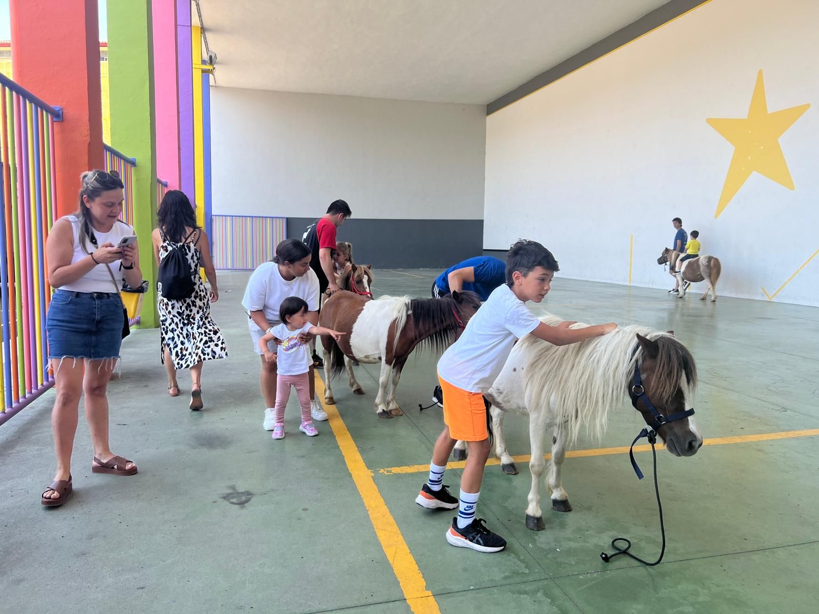 Domingo lleno de actividades en Zumarraga