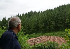 Uno de los propietarios forestales observa el terreno cedido a Basotik.