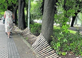 Carlos, un vecino de Amara, escribe: «Con motivo de los últimos conciertos en Anoeta, el pequeño vallado de estacas de madera que protegía las plantaciones del parque Aitzol de Amara ha quedado dañado. Lleva varios días ofreciendo una imagen de dejadez. Igual ya no es necesario el vallado y hay que pensar en quitarlo».