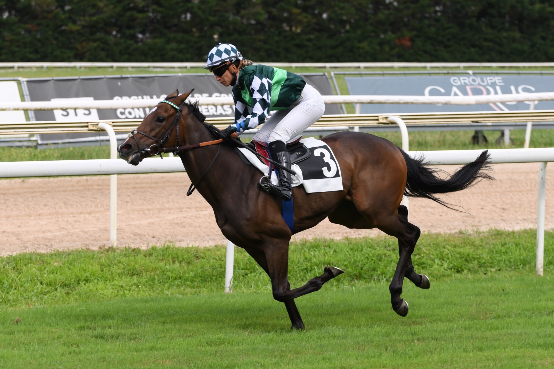 Carrera de caballos en el hipódromo de San Sebastián