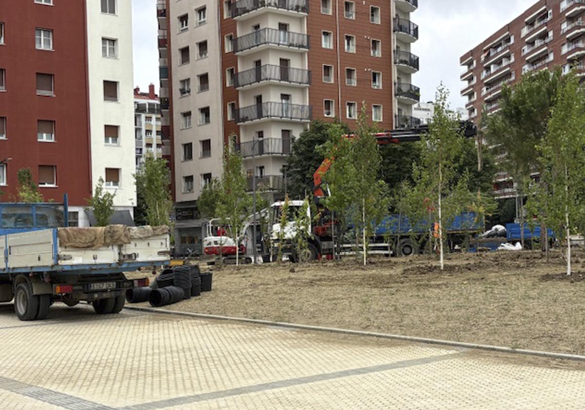 ¿Plantando árboles en pleno verano?