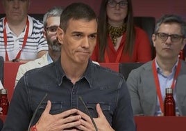 Los leones del coliseo