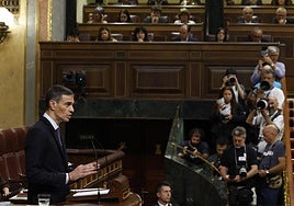 Pedro Sánchez interviene en el pleno del Congreso de los Diputados.