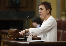 Mertxe Aizpurua este miércoles en el Congreso de los Diputados.