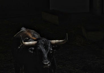 Pamplona aguarda a los imponentes Victoriano del Río