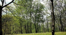Aiako Harria natura-parkean kokatzen da Listorretako eremua.
