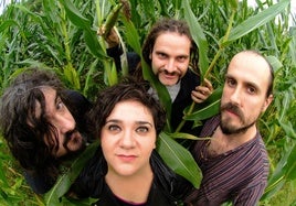 Zea Mays