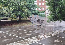 Denuncia Antxon: «Hay muchos árboles en el Antiguo cuyas ramas están excesivamente bajas. Si estuviesen en zona verde sería muy diferente, pero si es zona peatonal deben estar a una altura de más de 2 metros. Pueden provocar accidentes, y quien debe velar por tenerlo en condiciones no lo hace, provocando con ello un problema a los donostiarras».