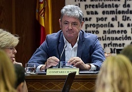 Antxon Alonso durante su comparecencia de este martes en el Senado.
