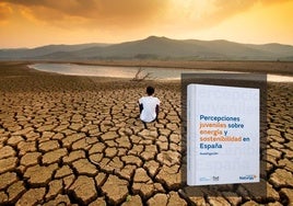 Informe elaborado por el Centro Reina Sofía y Fundación Naturgy.