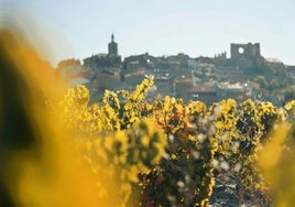 El alma de una Rioja inédita entre barrancos, riachuelos y viñedos
