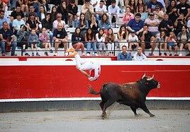 Los recortadores vuelven a triunfar en la plaza de Azpeitia