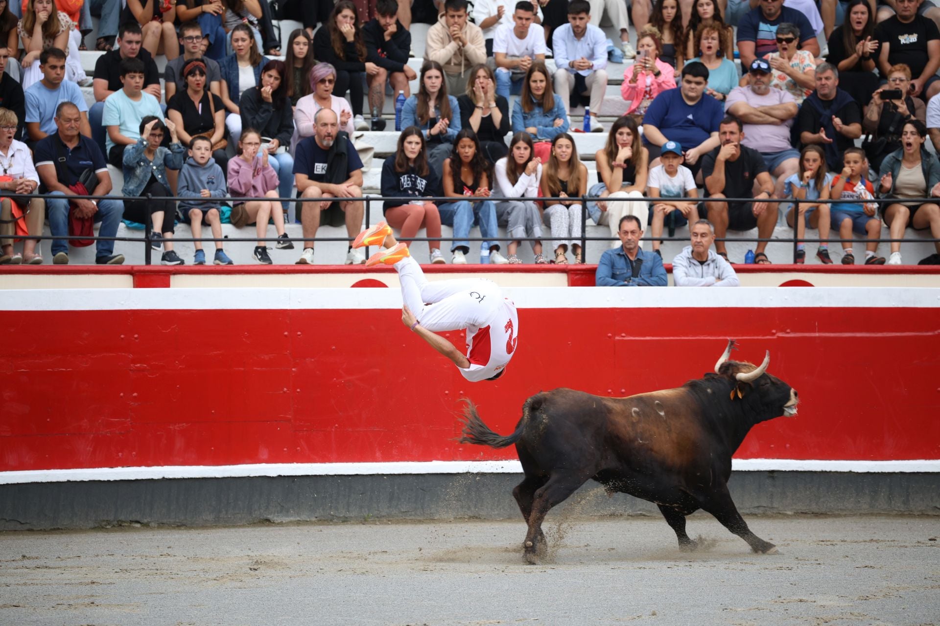 Los recortadores vuelven a triunfar en la plaza de Azpeitia