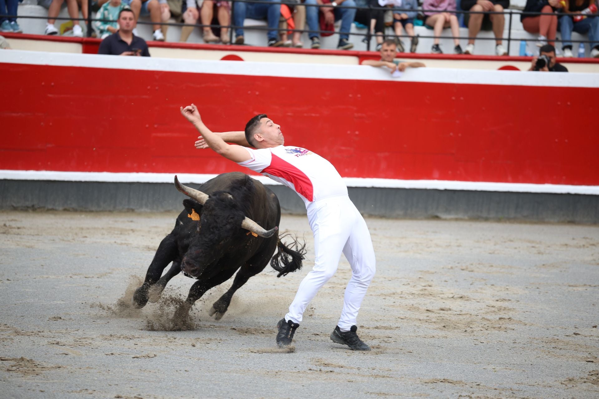 Los recortadores vuelven a triunfar en la plaza de Azpeitia