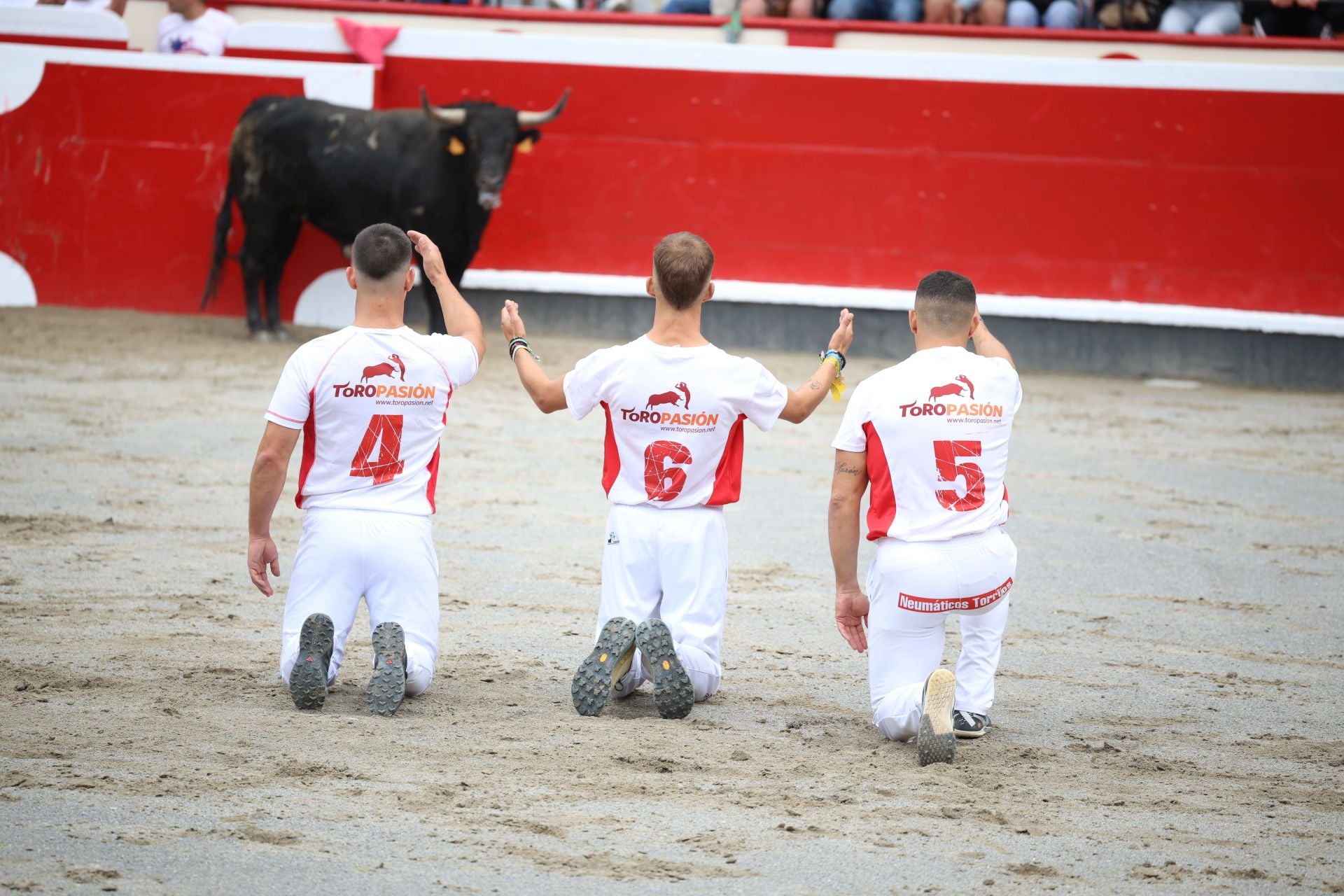 Los recortadores vuelven a triunfar en la plaza de Azpeitia