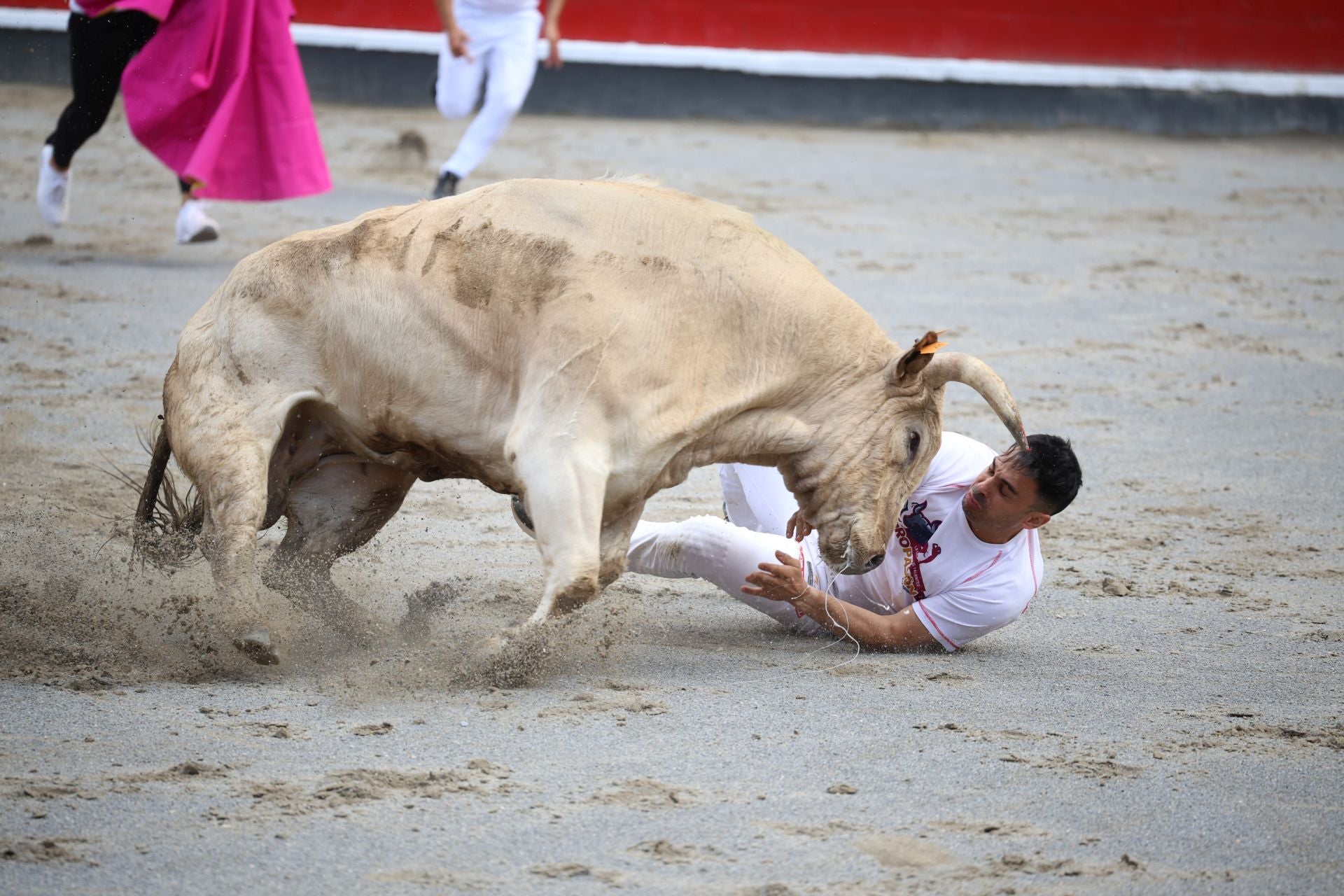 Los recortadores vuelven a triunfar en la plaza de Azpeitia