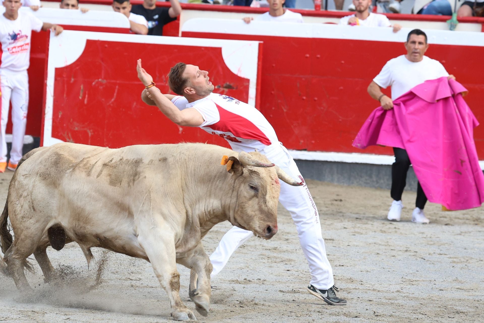 Los recortadores vuelven a triunfar en la plaza de Azpeitia