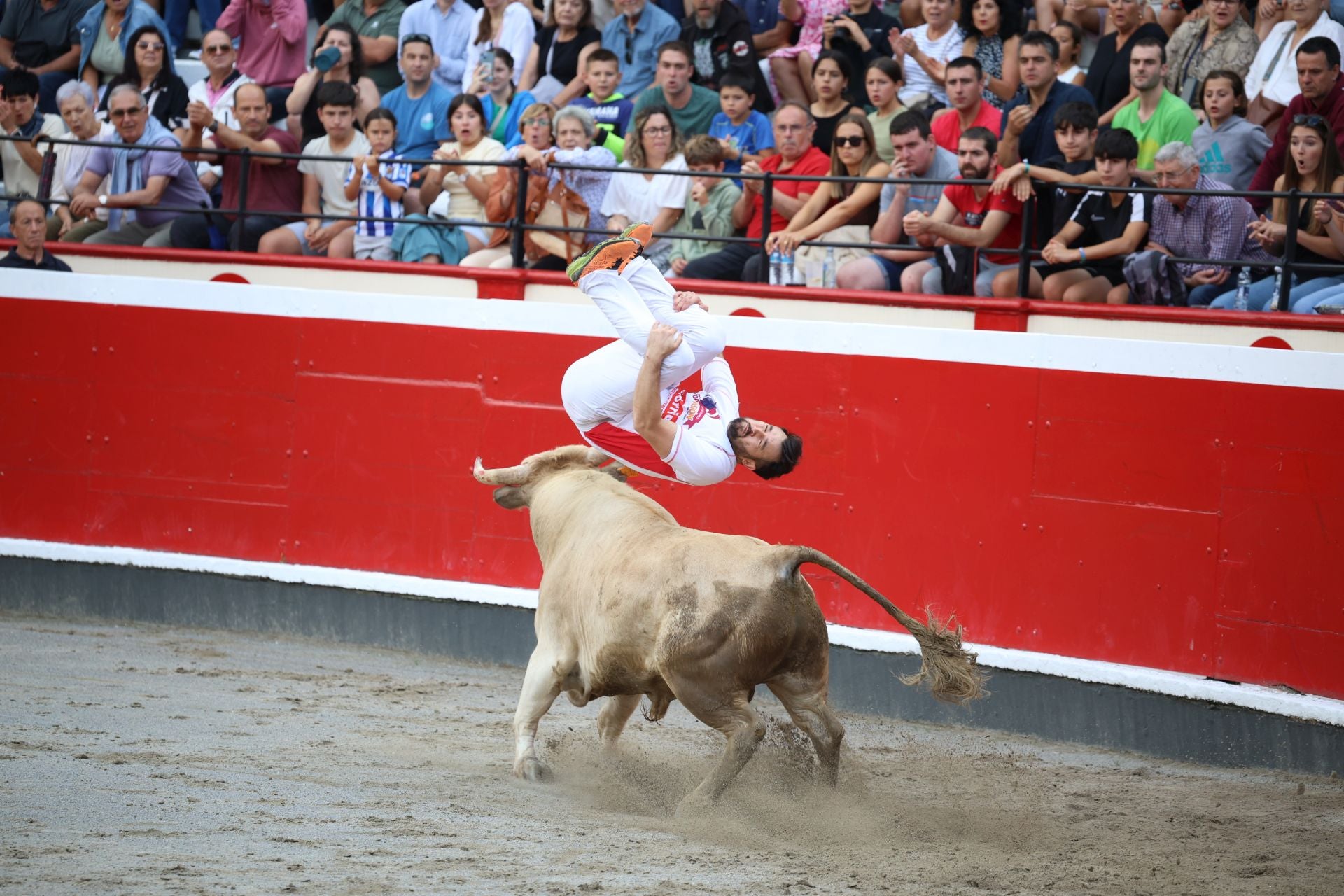 Los recortadores vuelven a triunfar en la plaza de Azpeitia