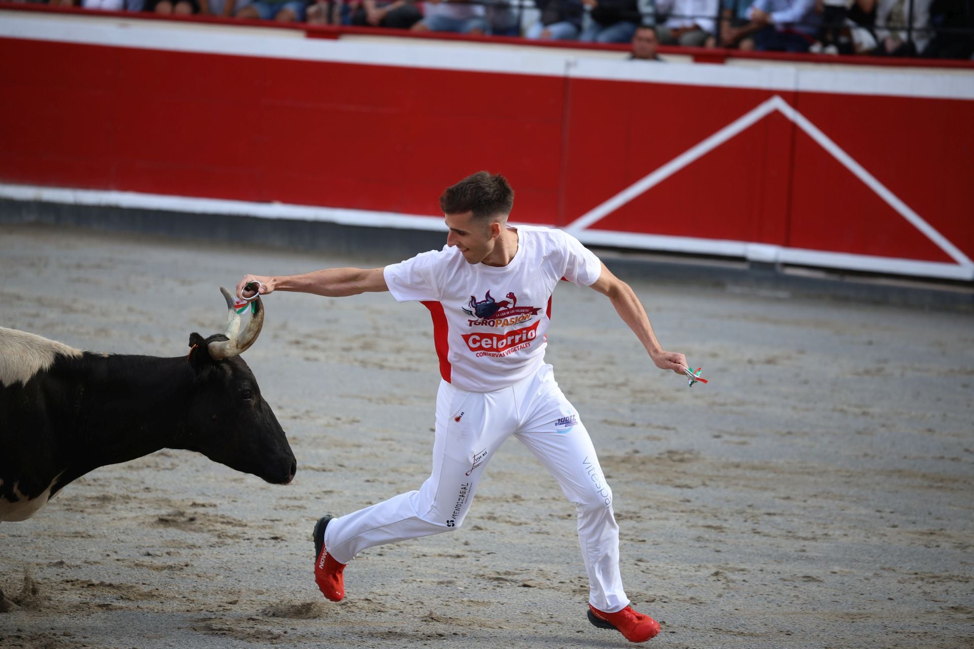 Los recortadores vuelven a triunfar en la plaza de Azpeitia