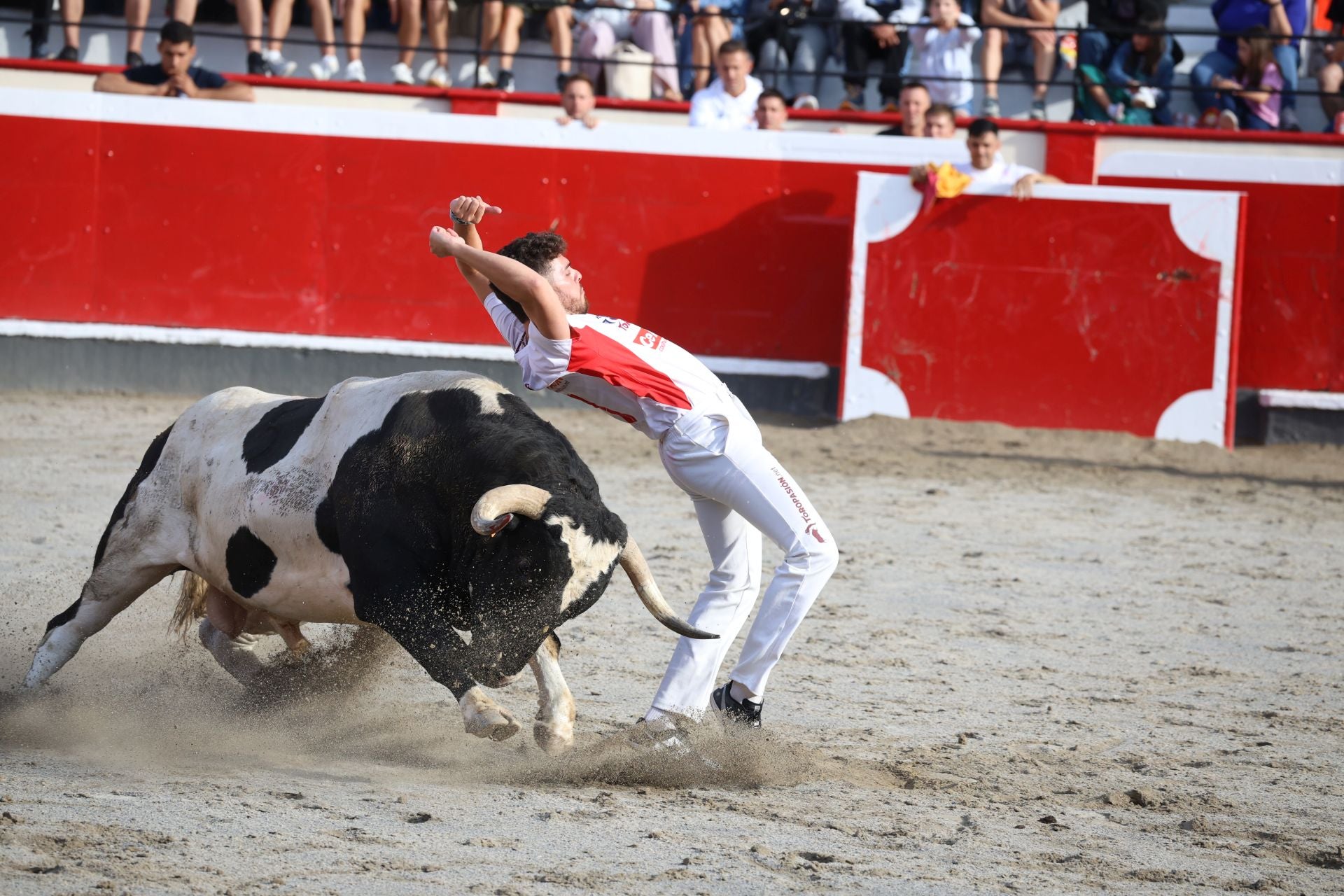 Los recortadores vuelven a triunfar en la plaza de Azpeitia