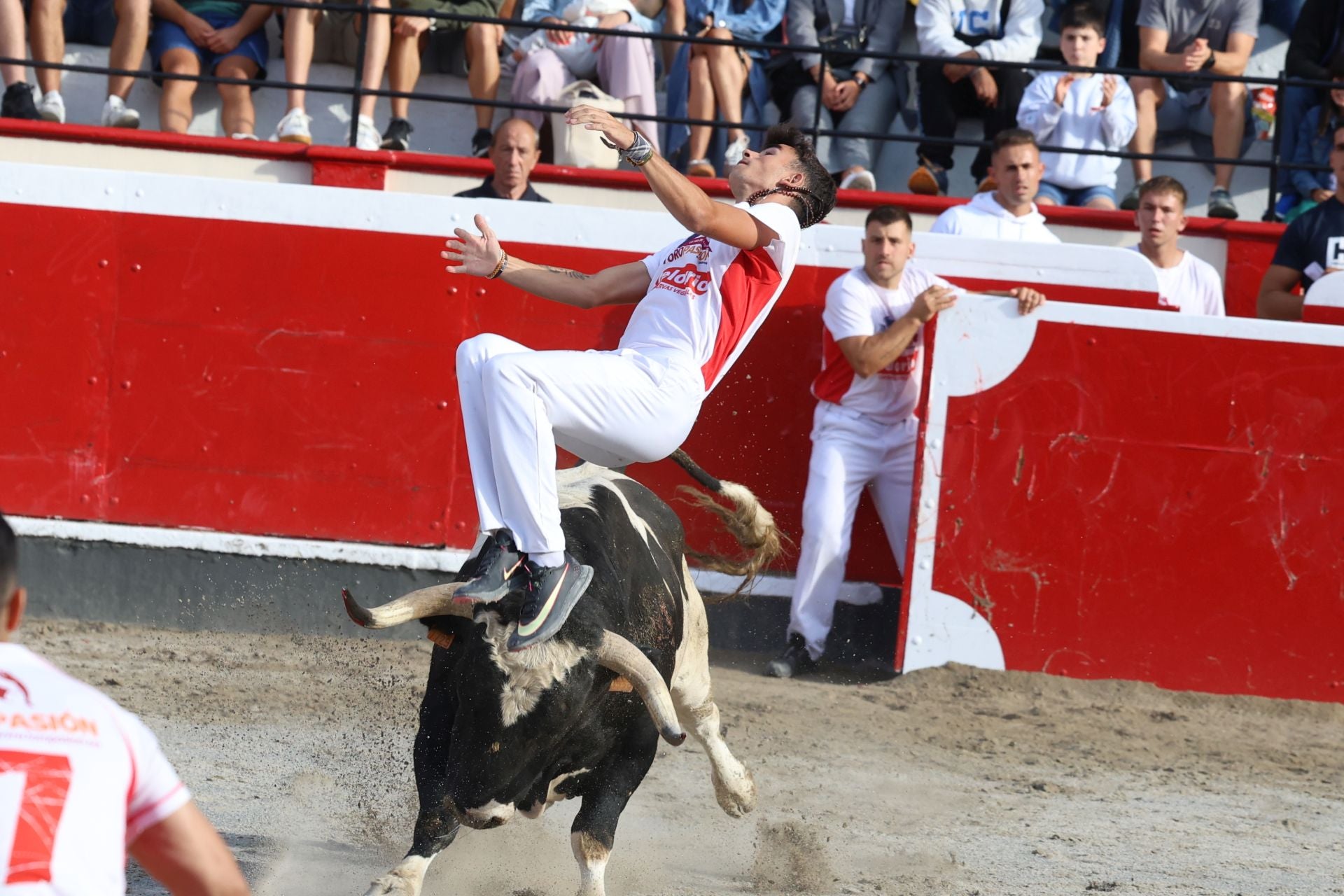 Los recortadores vuelven a triunfar en la plaza de Azpeitia