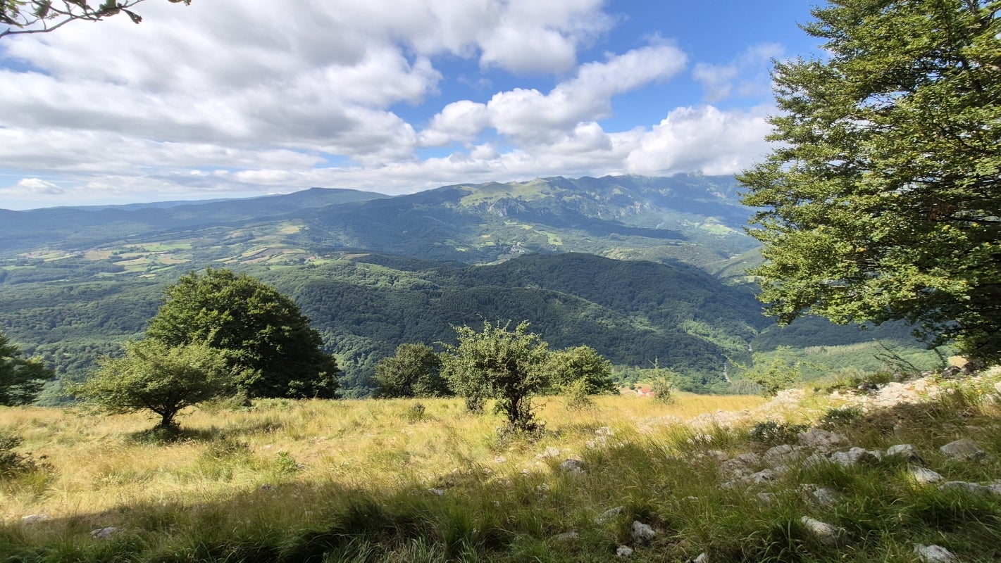 Atume, una ventana abierta a la vieja malloa